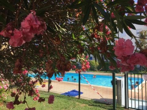 Lesjardinsfleuris Leilighet Mandelieu Eksteriør bilde